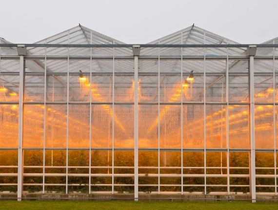 Good commercial glass greenhouse with lights