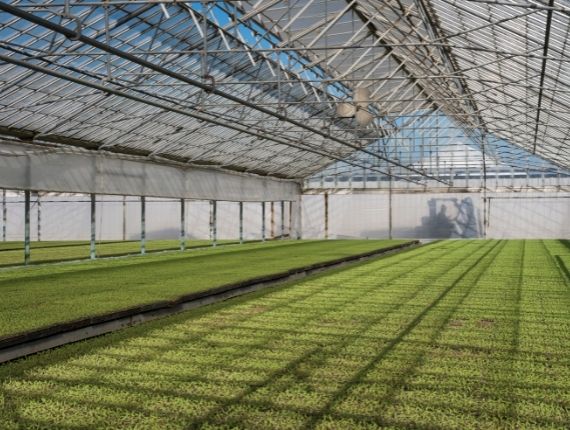 commercial glass greenhouse steel structure