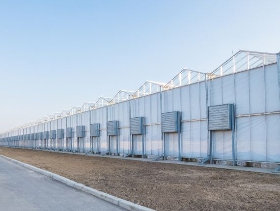 commercial glass greenhouse with fan