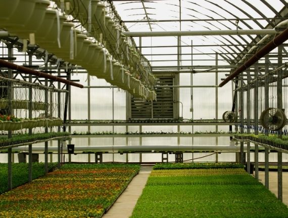 commercial glass greenhouse with sunshade
