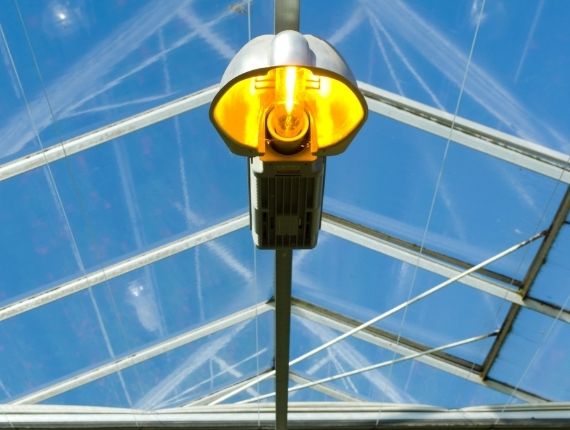 lights in commercial glass greenhouse