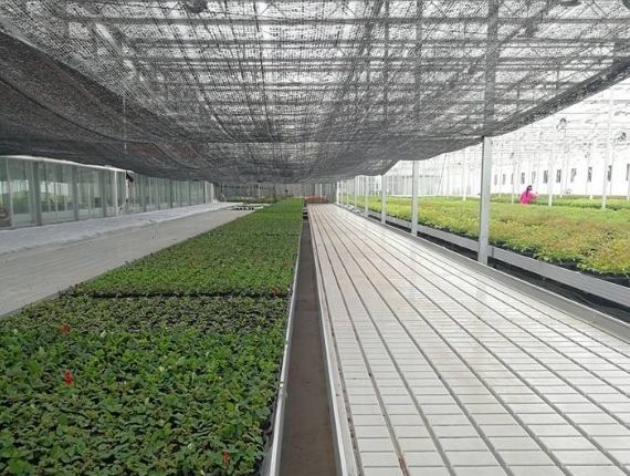 A big planted greenhouse with shade cloth