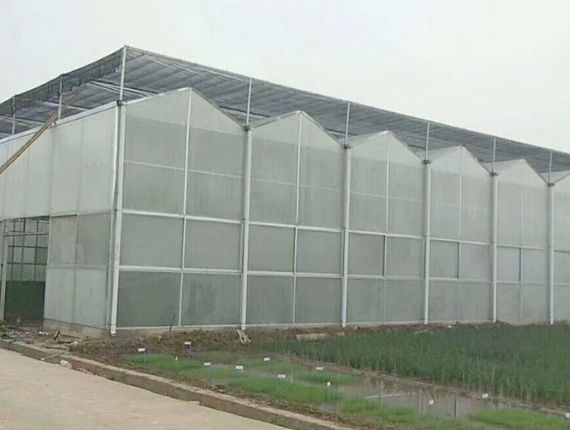A complete polycarbonate greenhouse