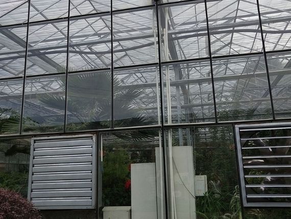 A glass farm greenhouse