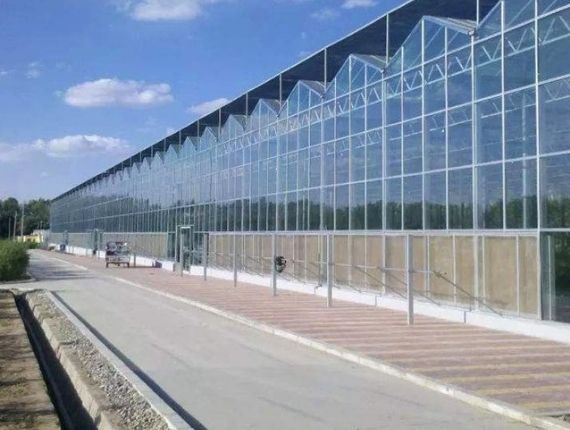 A glass industrial greenhouse