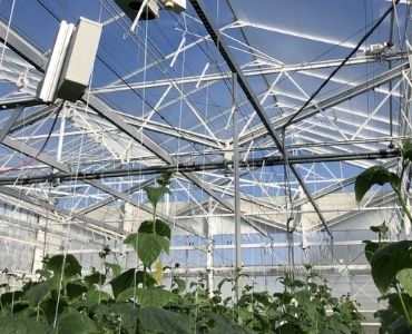 Automating big greenhouse