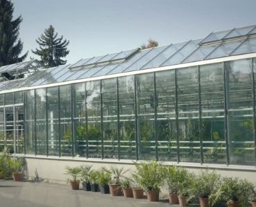 Big greenhouse 3