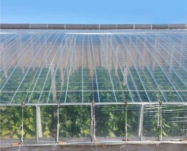 Big greenhouse 6