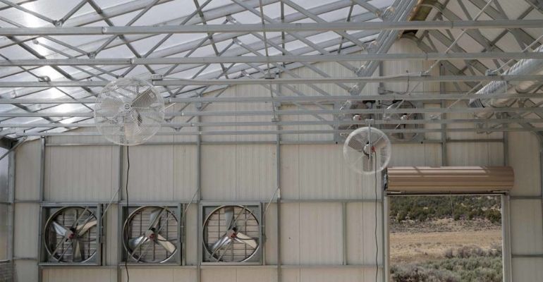 Big greenhouse ventilation