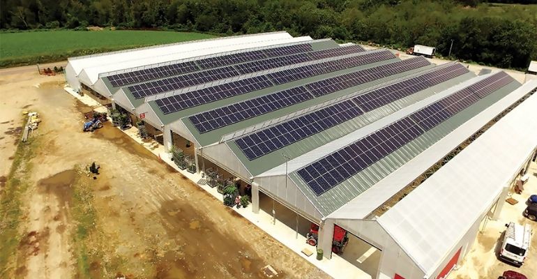 Big greenhouse with solar panels