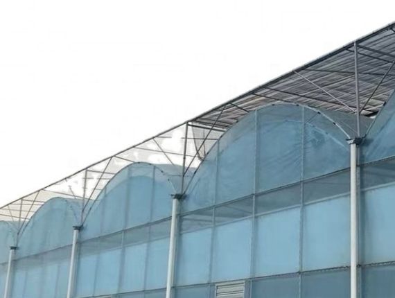 Big greenhouses with external shade cloths