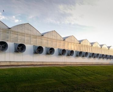 Big industrial greenhouses