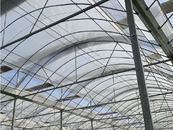 Big polycarbonate greenhouse
