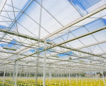 Big polycarbonate greenhouse