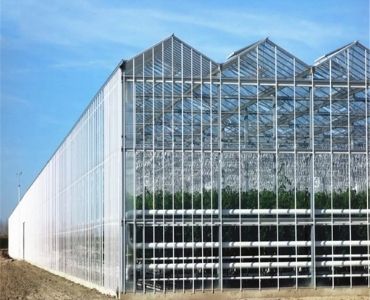 Big polycarbonate panel greenhouse