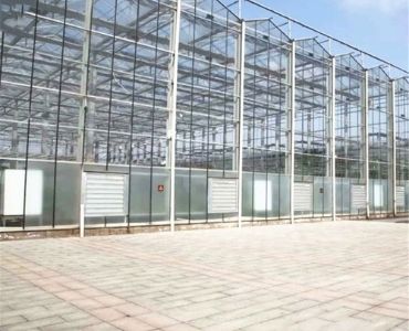 Commercial Polycarbonate panel greenhouse