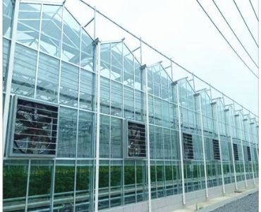 Commercial glass greenhouse with fans
