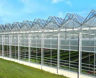 Commercial glass grenhouse