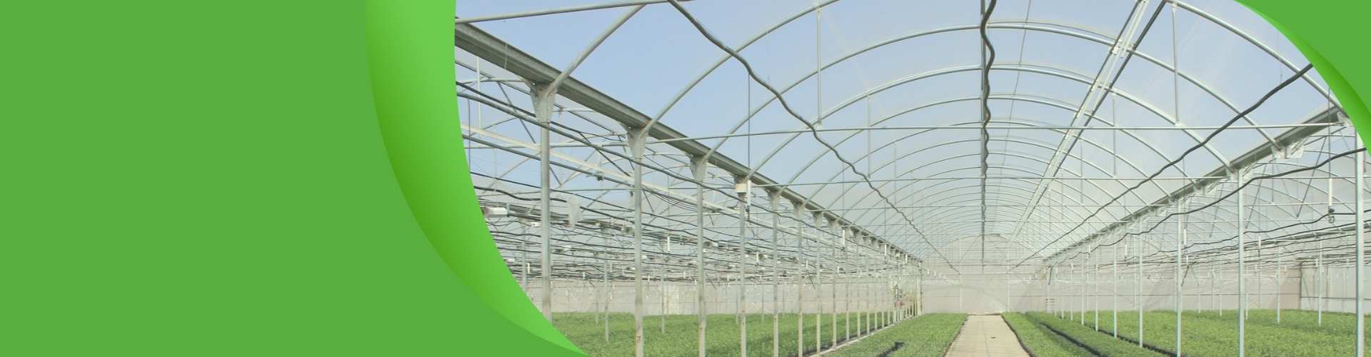 Commercial polycarbonate greenhouse banner