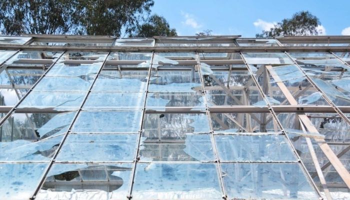 Damaged greenhouse roof
