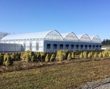 Dome Shaped Industrial Greenhouse