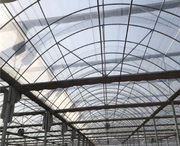 Dome polycarbonate panels