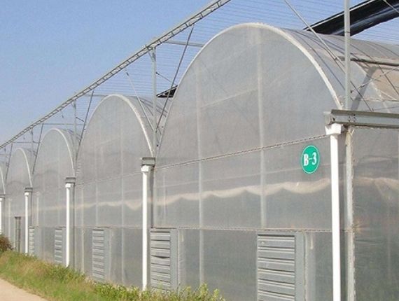 Exterior of a Dome-shaped Vegetable greenhouse