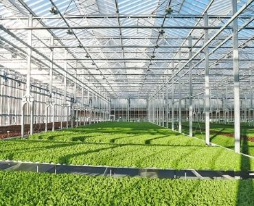 Farm Greenhouse