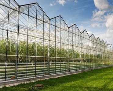 Farm greenhouse 5