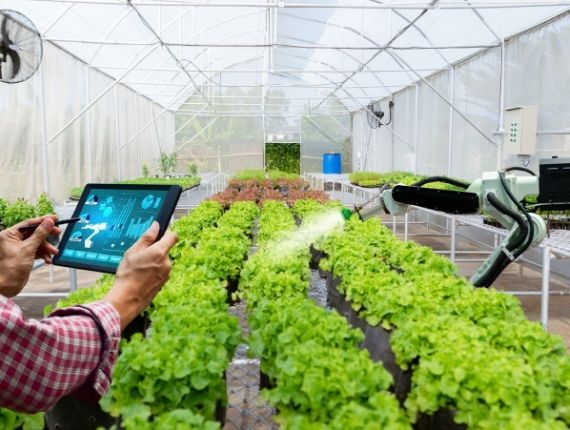 Farm greenhouse automation