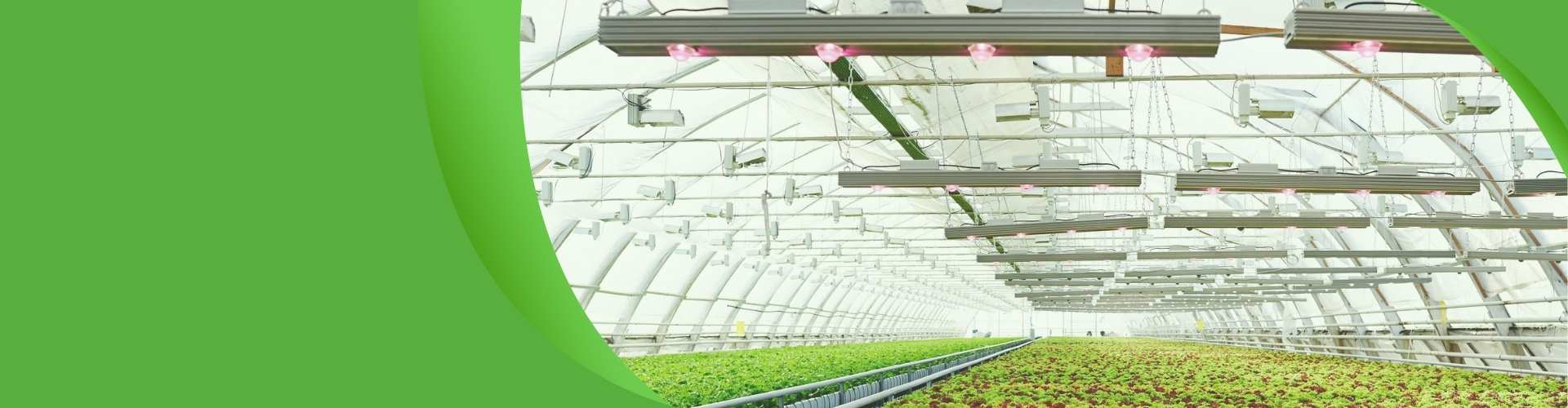 Farm greenhouse banner