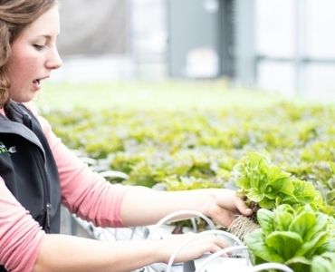 Farm greenhouse inspection