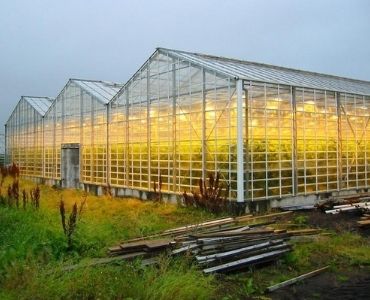 Farm greenhouse lighting