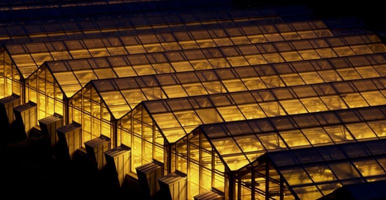 Farm greenhouse lights