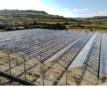 Farm greenhouse new installation