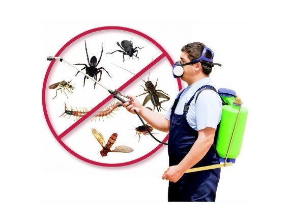 Farm greenhouse pest control