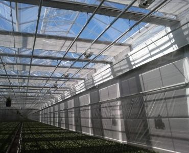 Glass farm greenhouse
