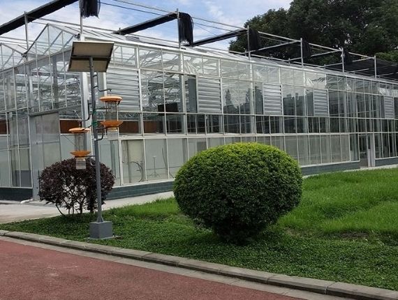 Glass greenhouse with folded shade cloths