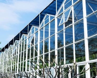 Glass greenhouse
