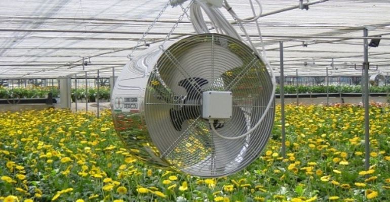 Greenhouse fan