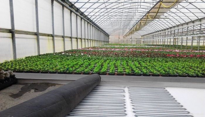 Greenhouse floor types