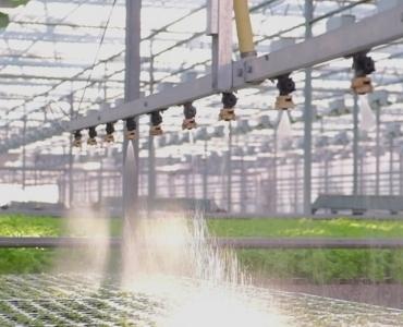 Greenhouse irrigation system