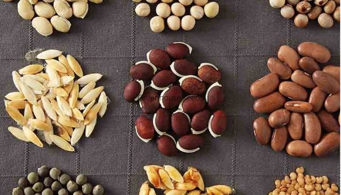 Greenhouse seeds