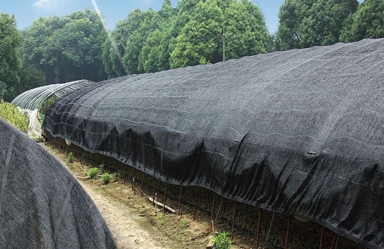 Greenhouse shade cloth