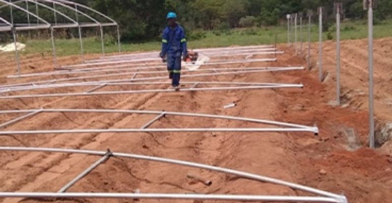 Greenhouse site preparation