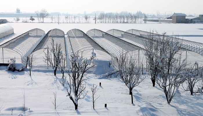 Greenhouse use in winter