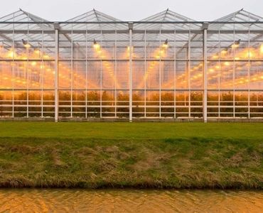 Illuminated Industrial greenhouse