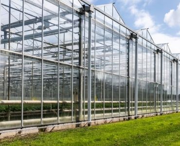 Industrial Glass Greenhouse