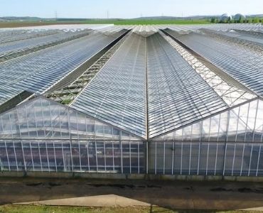Industrial Greenhouse 2