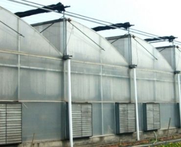 Industrial Greenhouse Ventilation